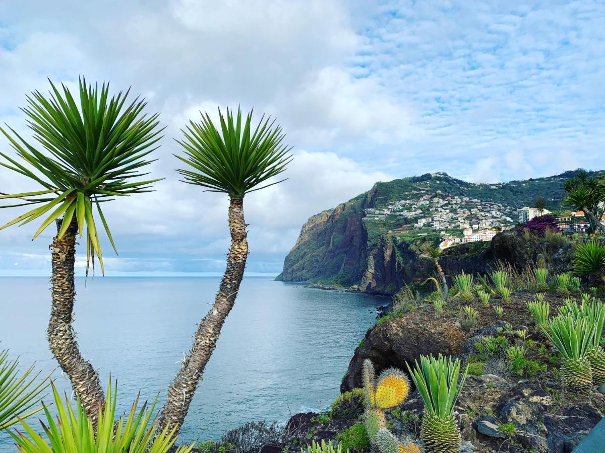 Ocean Cliff Apartment Santa Cruz  Zewnętrze zdjęcie